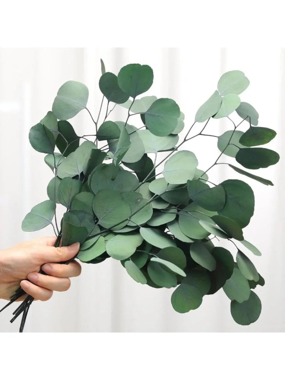 Dried Eucalyptus Stems & Leaves - 4-10 Pcs Green Vase Filler for Home Décor